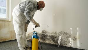 Removing Black Mould